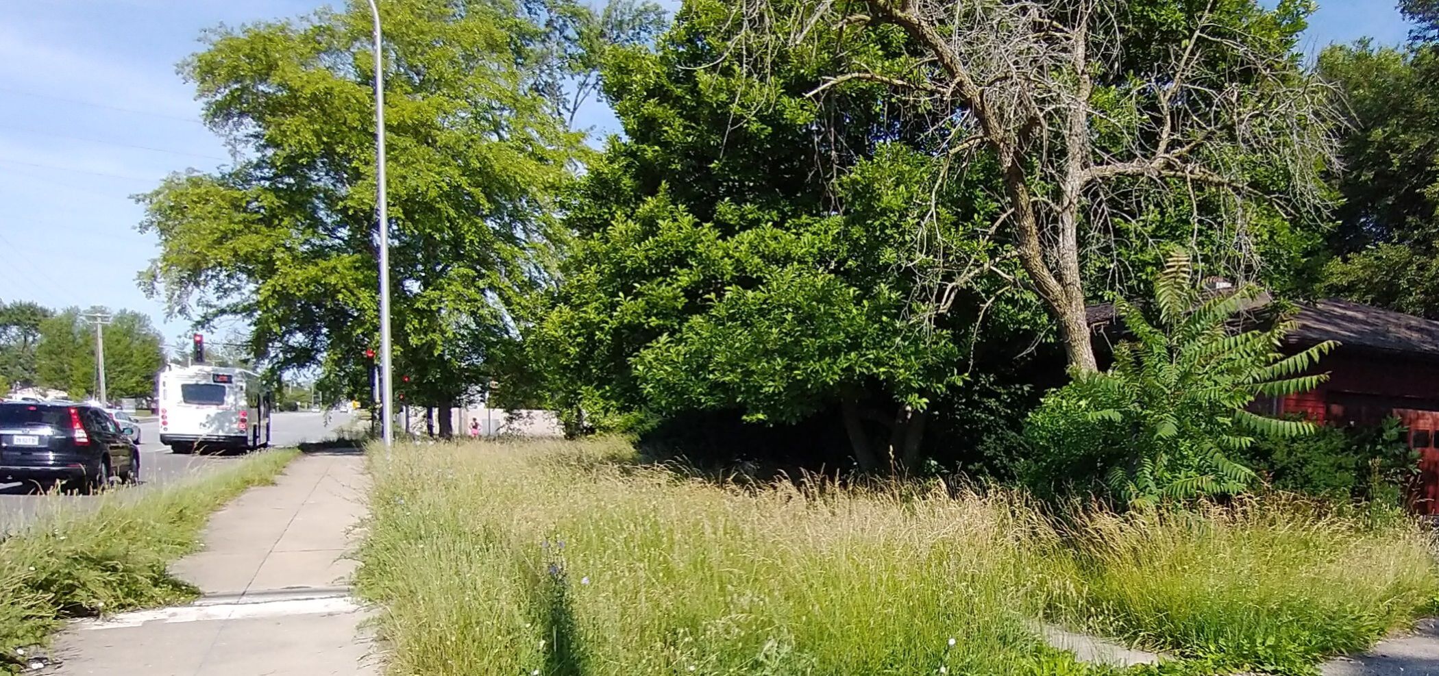 06192021 BAGyard.jpg